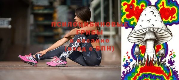 ГАЛЛЮЦИНОГЕННЫЕ ГРИБЫ Лиски